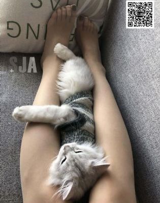 一级做a毛片免费视频_HD720P欧美电影在线